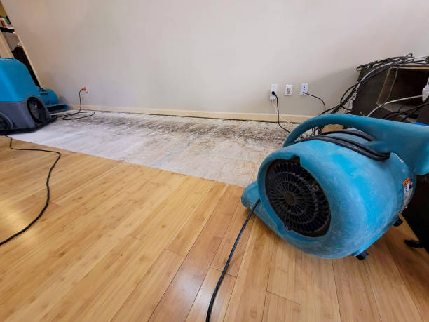 Professional Structural Drying technician working in Nokesville, VA